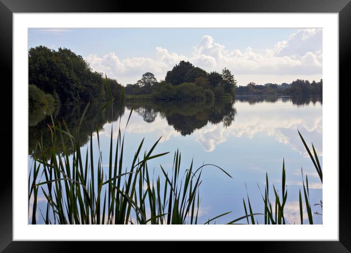 Lake reflections Framed Mounted Print by Darren Burroughs