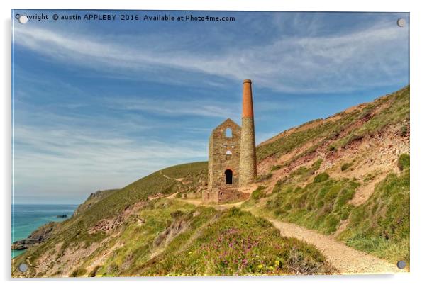 Pathways To Wheal Coates Acrylic by austin APPLEBY
