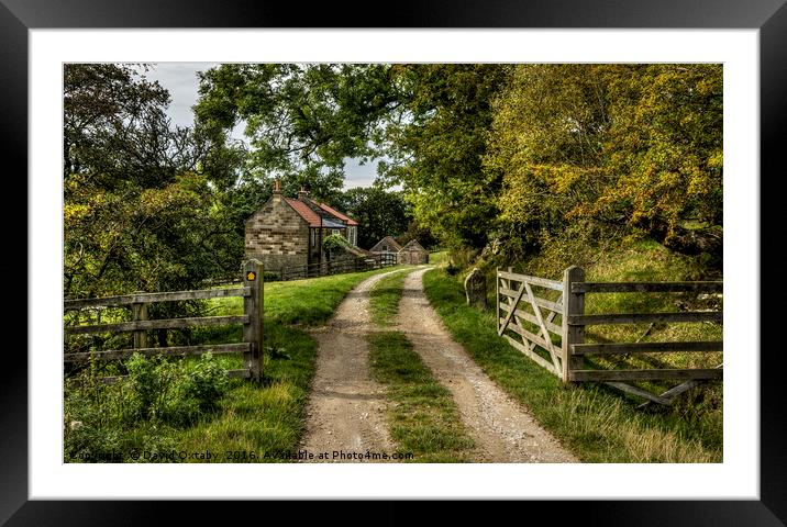 Farmtrack at Darnholme Framed Mounted Print by David Oxtaby  ARPS