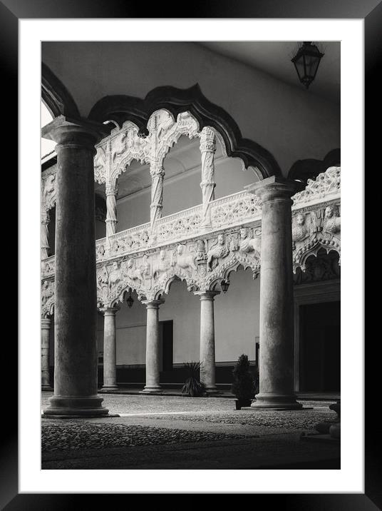 Palace in Guadalajara Framed Mounted Print by Igor Krylov