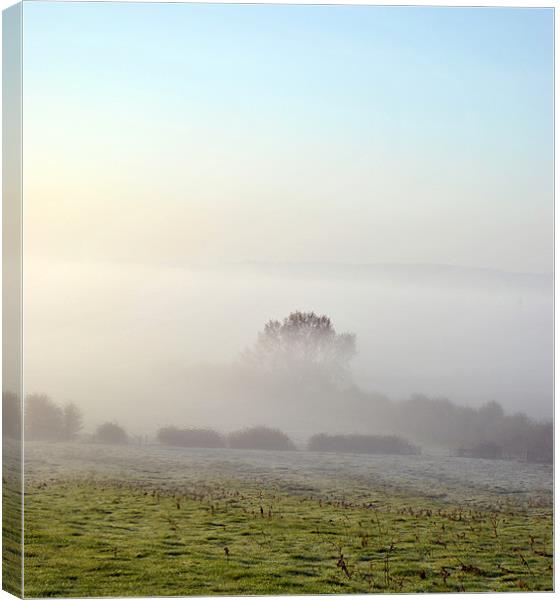 Out of the Mist Canvas Print by graham young