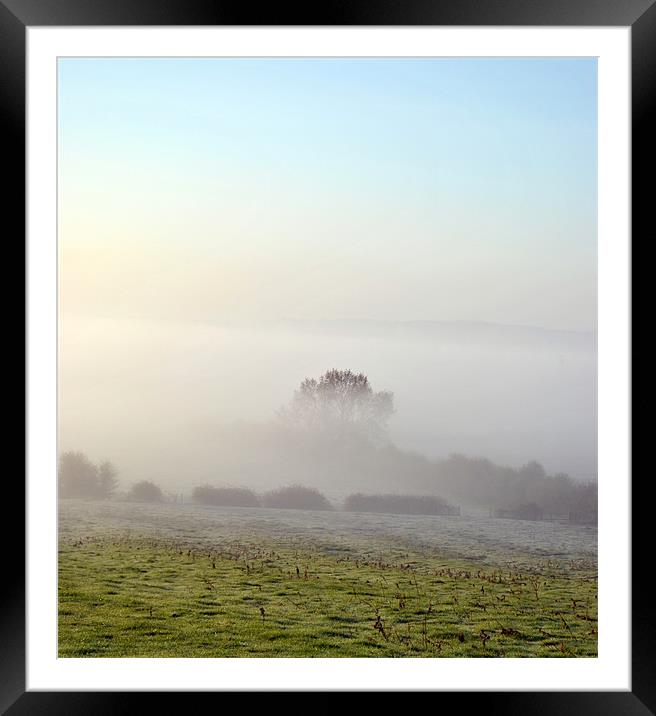 Out of the Mist Framed Mounted Print by graham young