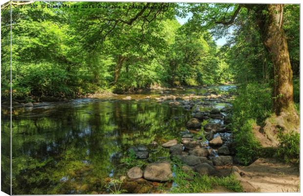 Summer on the Dart  Canvas Print by Diana Mower