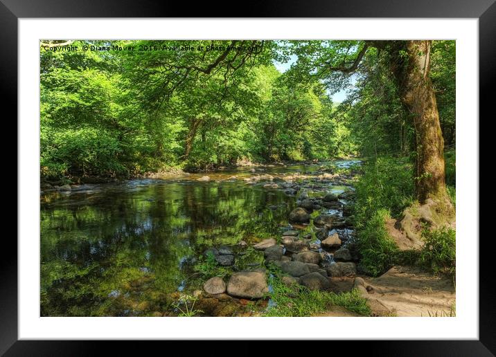 Summer on the Dart  Framed Mounted Print by Diana Mower