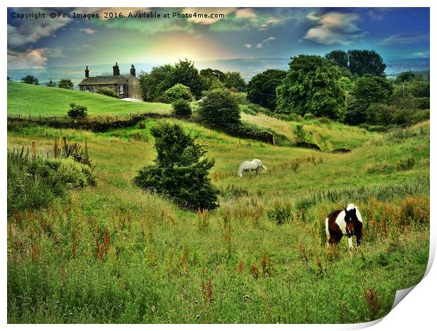 Horses in the meadow Print by Derrick Fox Lomax