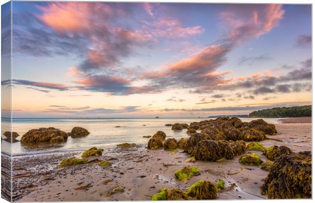 Horestone Point At Priory Bay Canvas Print by Wight Landscapes