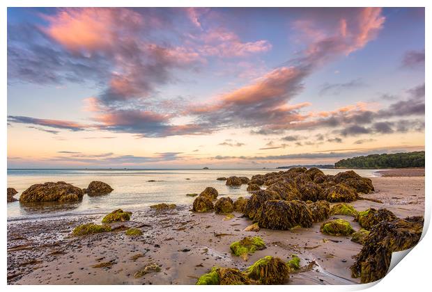 Horestone Point At Priory Bay Print by Wight Landscapes