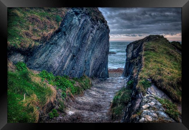 Pathway To Lansallos Cove Framed Print by Simon Litchfield