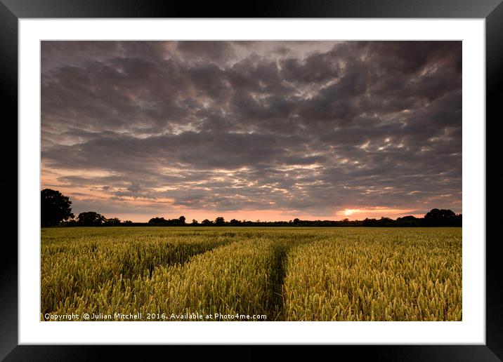 Big Skies Framed Mounted Print by Julian Mitchell
