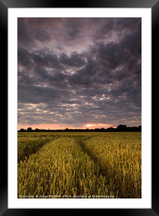 Big Skies Framed Mounted Print by Julian Mitchell