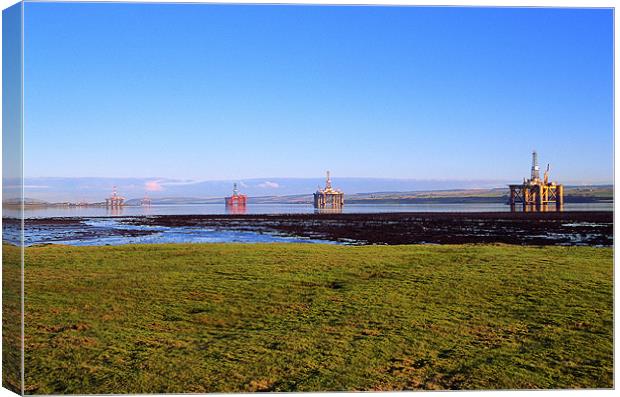 Oil Rigs in Cromarty Firth Canvas Print by Derek Wallace