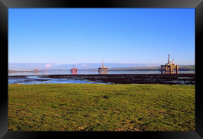 Oil Rigs in Cromarty Firth Framed Print by Derek Wallace
