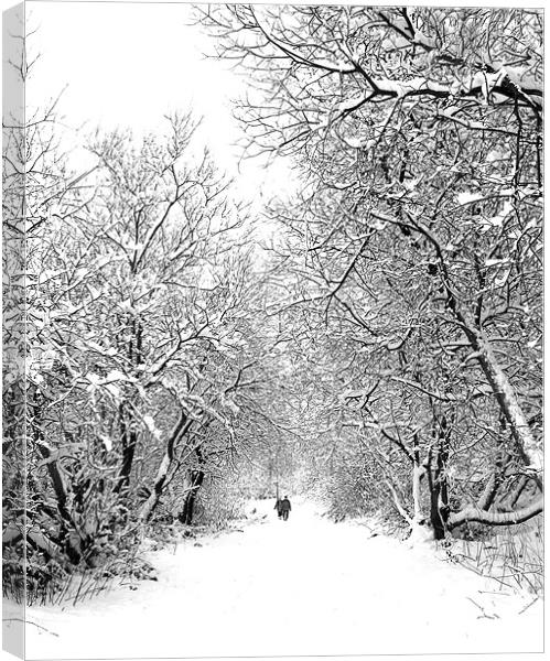 Walking in a Winter Wonderland Canvas Print by Jeni Harney