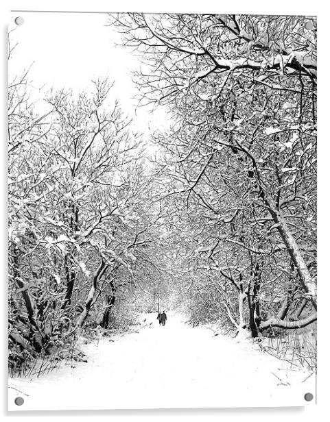 Walking in a Winter Wonderland Acrylic by Jeni Harney