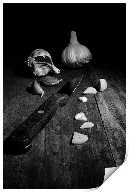 Garlic CSI Print by John Boyle
