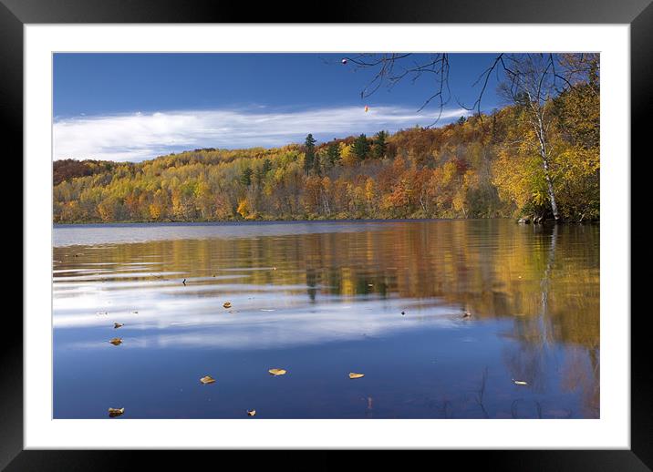 Autumn in Minnesota Framed Mounted Print by Michael Treloar
