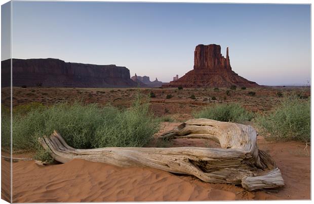 Monument Valley Canvas Print by Michael Treloar