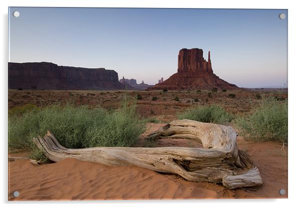 Monument Valley Acrylic by Michael Treloar