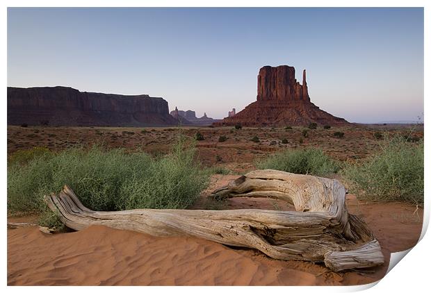 Monument Valley Print by Michael Treloar