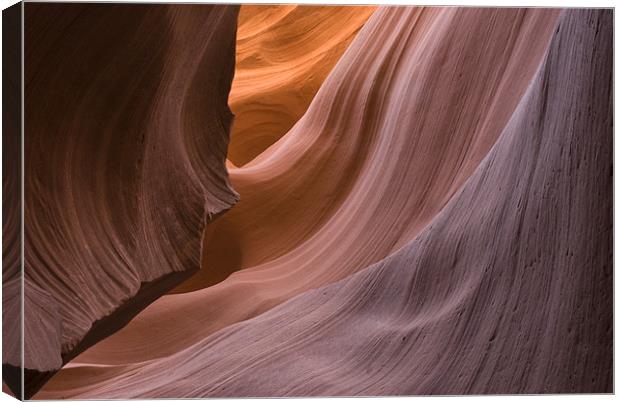 Antelope Canyon Canvas Print by Michael Treloar