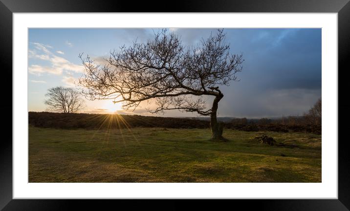 Stanton Moor Leaning Tree Framed Mounted Print by James Grant