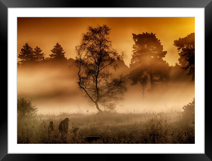  Wisley Common Surrey Framed Mounted Print by Clive Eariss