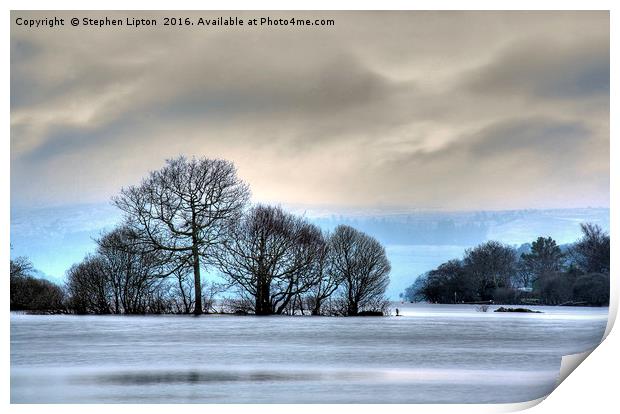 Winter at Loch Lomond Print by Stephen Lipton