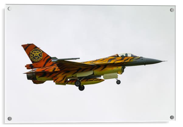 Tiger Squadron Acrylic by J Biggadike