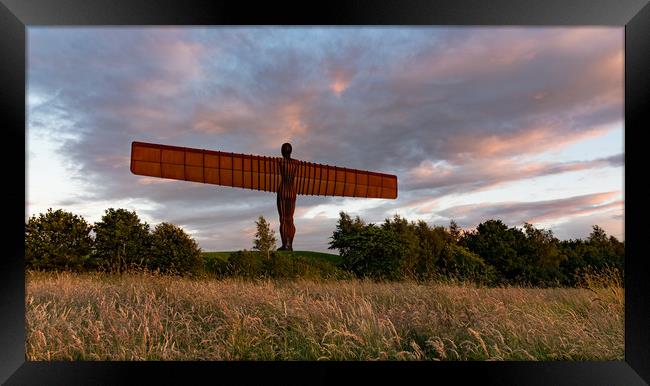 Angel of the North Framed Print by Andy Gibbins