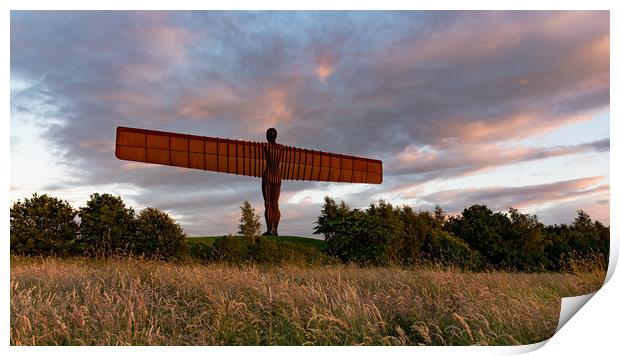 Angel of the North Print by Andy Gibbins