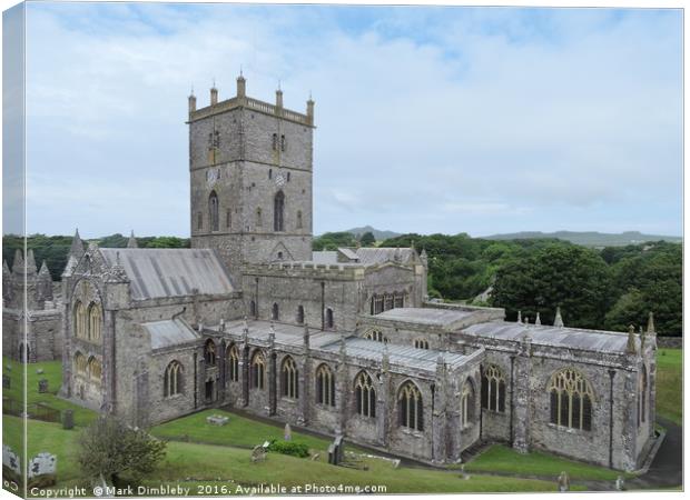           St. Davids Cathedral Canvas Print by Mark Dimbleby