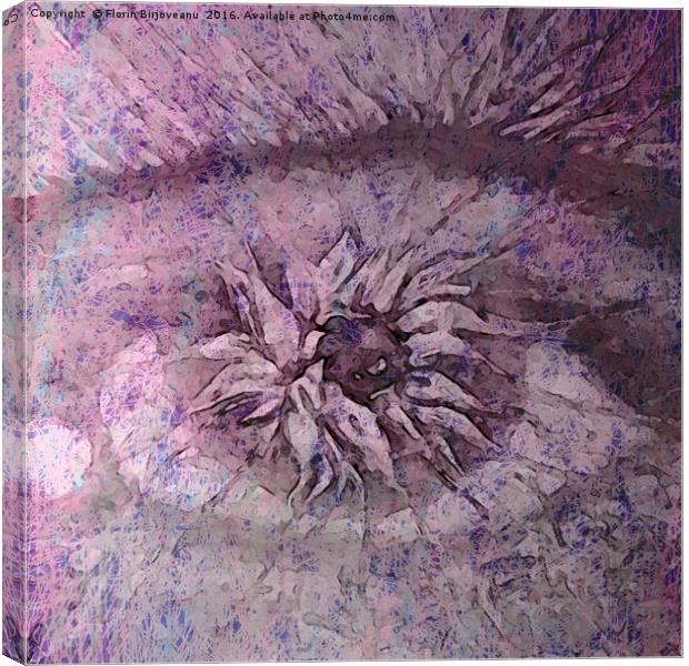 The Eye of Apollo Purple Canvas Print by Florin Birjoveanu