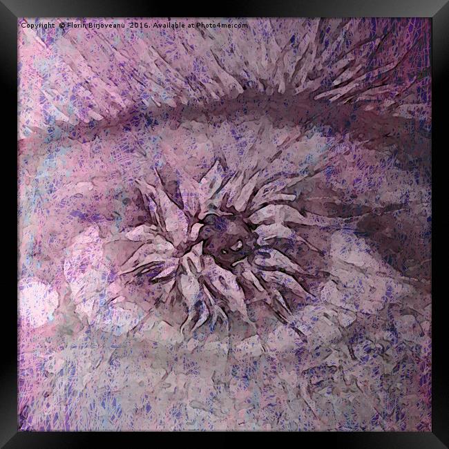 The Eye of Apollo Purple Framed Print by Florin Birjoveanu