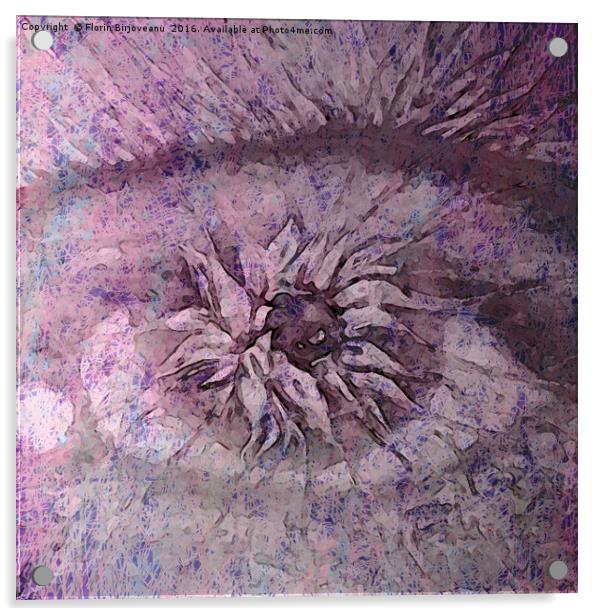 The Eye of Apollo Purple Acrylic by Florin Birjoveanu