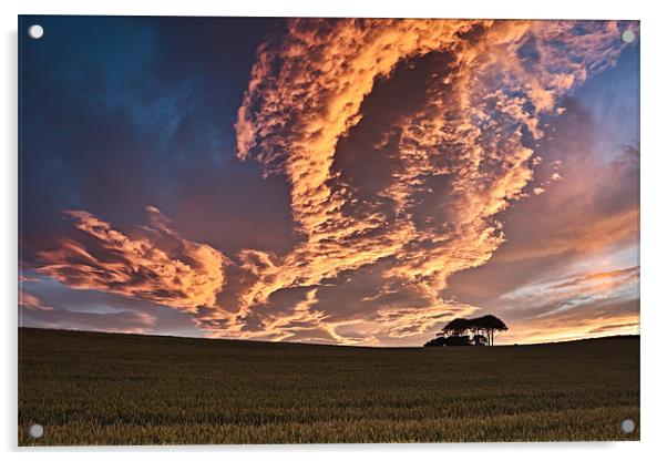 Cornfield Sunset Acrylic by David Lewins (LRPS)