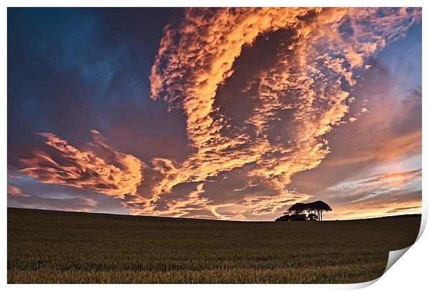 Cornfield Sunset Print by David Lewins (LRPS)