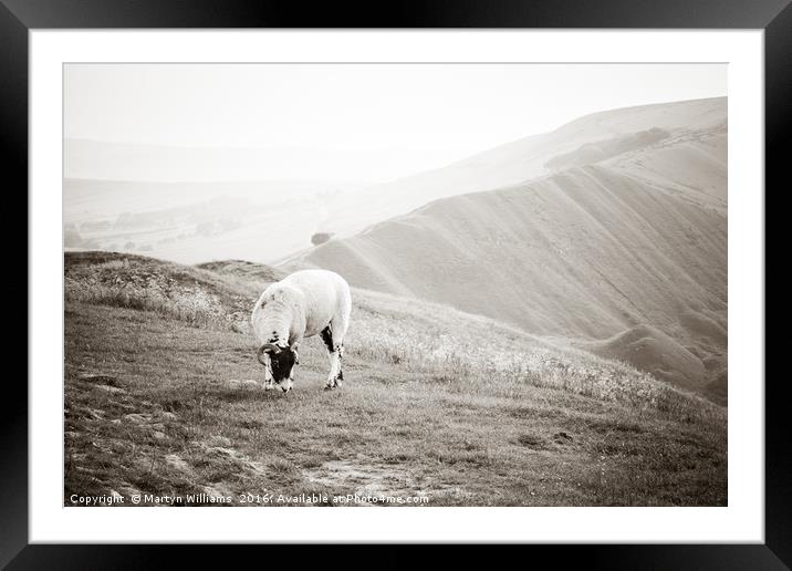 Sheep On Mam Tor, Derbyshire Framed Mounted Print by Martyn Williams