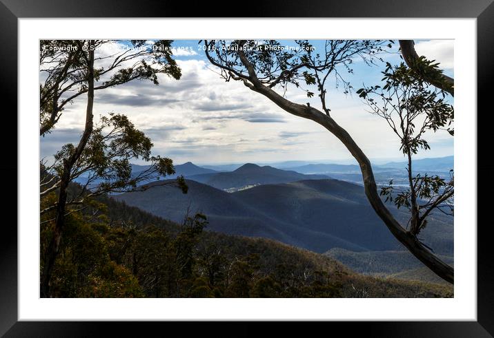 Mountain Blue Framed Mounted Print by Sandi-Cockayne ADPS