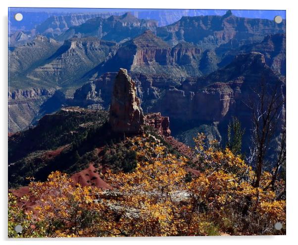 Point Imperial Grand Canyon North Rim Autumn  Acrylic by Tammy Winand