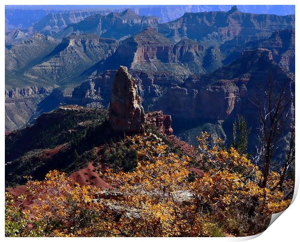 Point Imperial Grand Canyon North Rim Autumn  Print by Tammy Winand