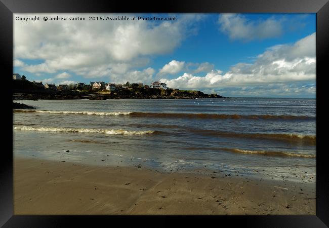 IN OR OUT Framed Print by andrew saxton