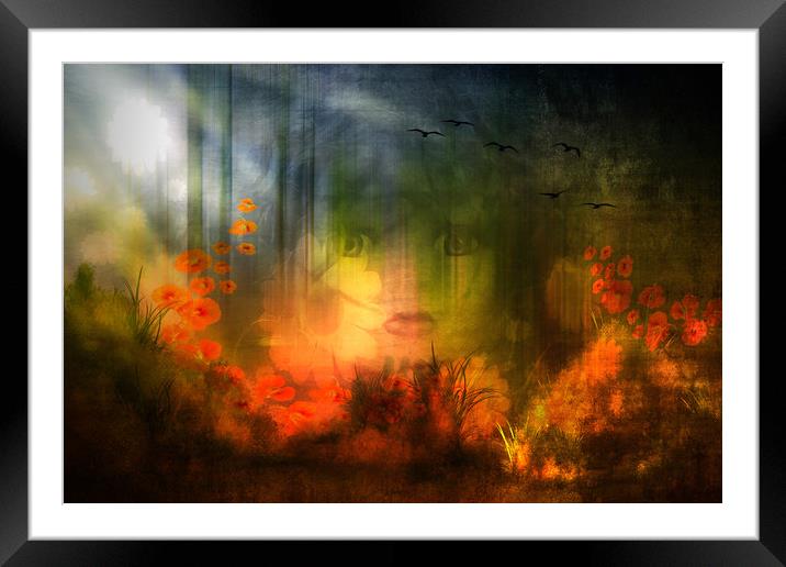 Magic forest  Framed Mounted Print by Dagmar Giers