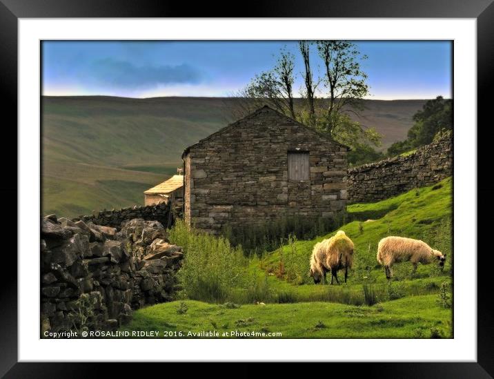 "EVENING LIGHT IN THE YORKSHIRE DALES" Framed Mounted Print by ROS RIDLEY