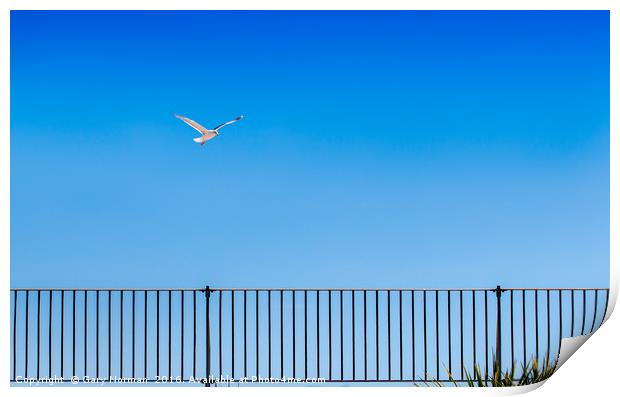 Seagull and fence at Great Yarmouth  Print by Gary Norman