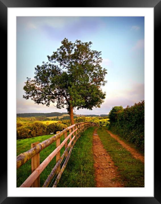 Follow The Path Framed Mounted Print by Jason Williams