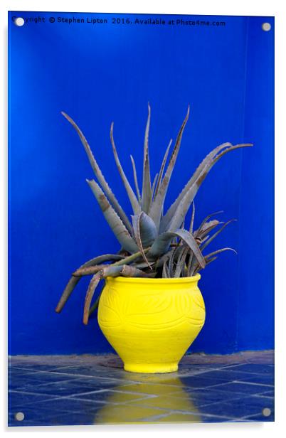 Yellow Pot, Marrakech Acrylic by Stephen Lipton