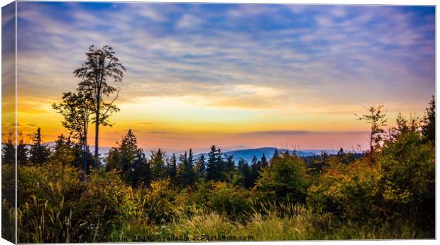 Colorful sunset sky over Sumava forest Canvas Print by Sergey Fedoskin