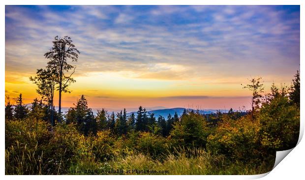 Colorful sunset sky over Sumava forest Print by Sergey Fedoskin