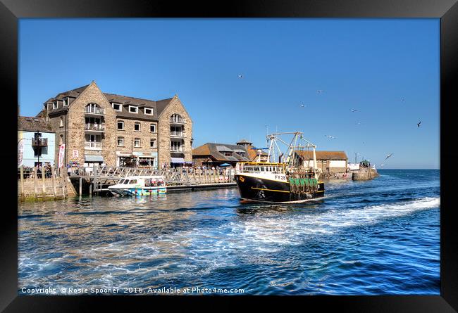 A fishing boat returns to Looe Framed Print by Rosie Spooner