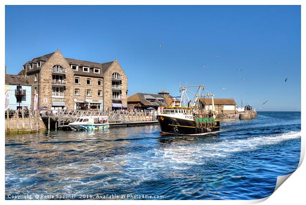 A fishing boat returns to Looe Print by Rosie Spooner